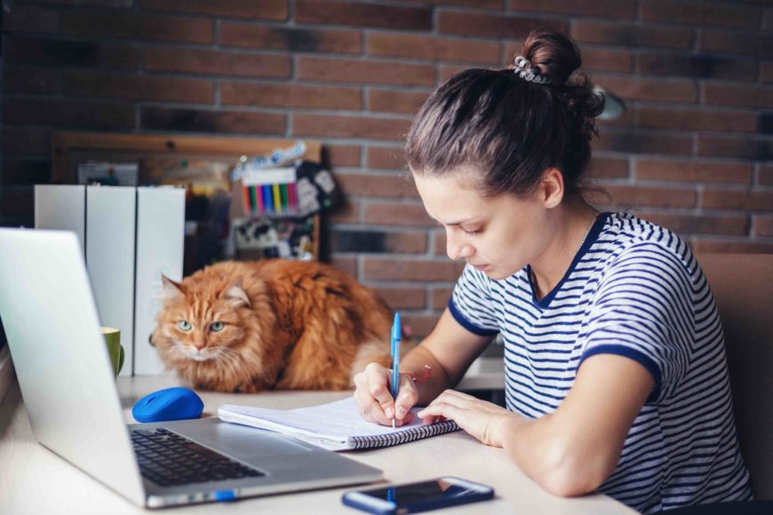 在線學生在筆記本電腦和貓