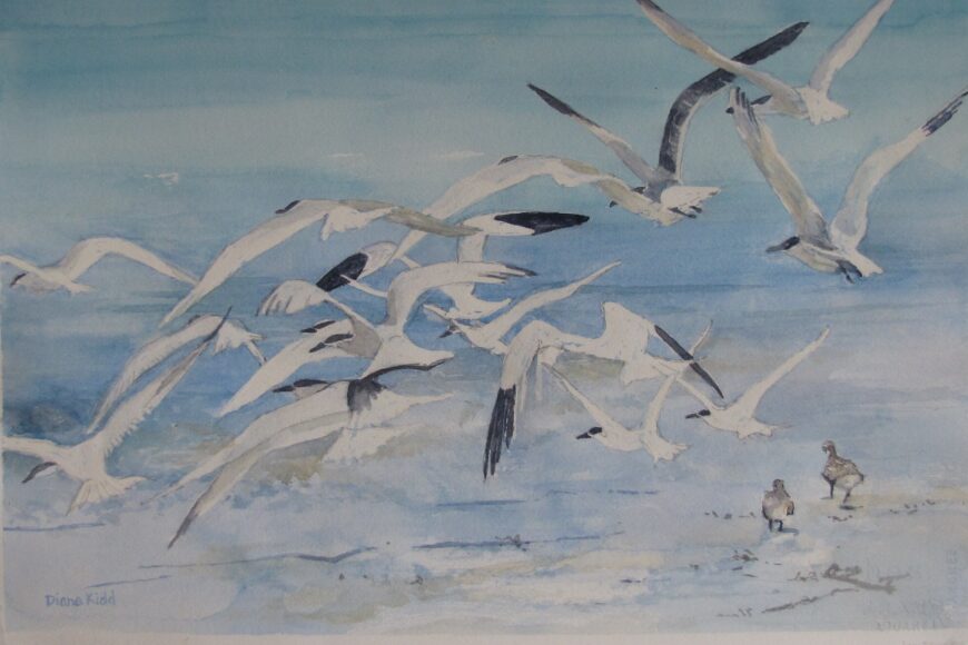 黛安·基德畫廊舉辦水彩繪畫的“從挪威池塘,”黛安娜基德